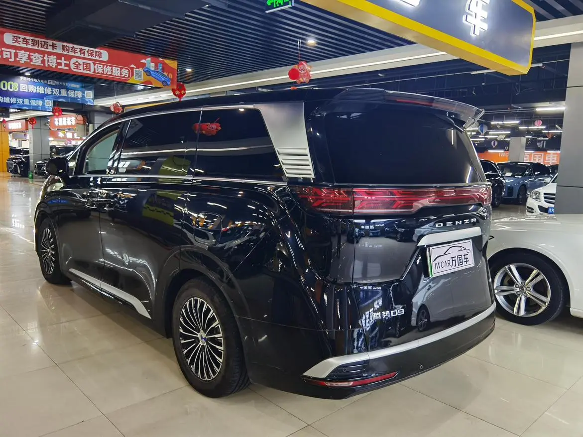 Denza Denza D9 DM 1050 Exclusive type