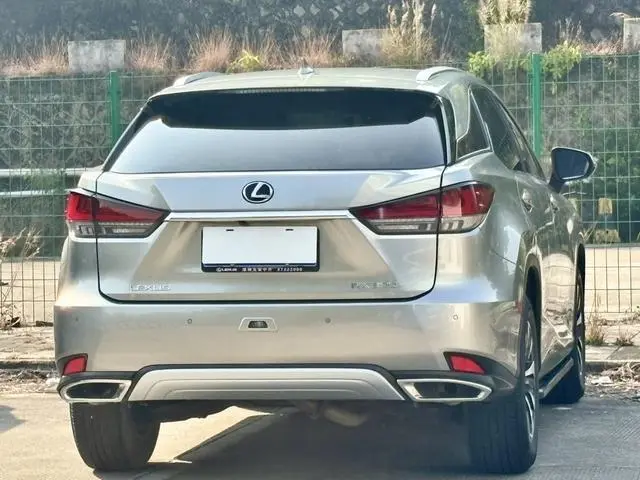 Lexus Lexus RX Facelift 300 two-wheel drive comfort version