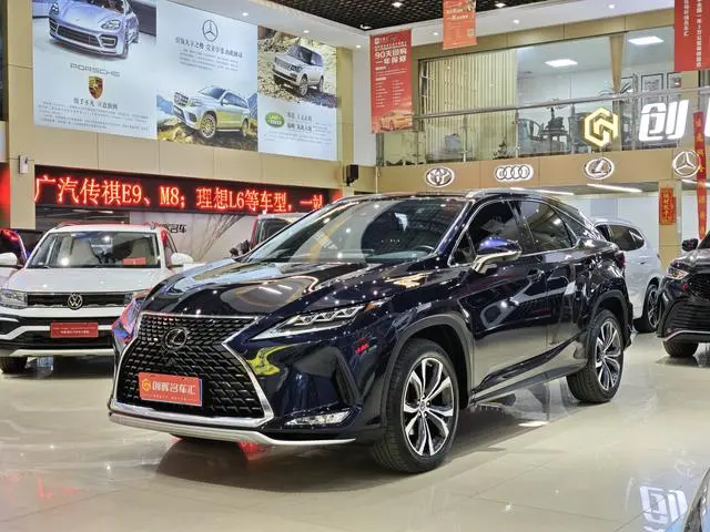 Lexus Lexus RX 300 four-wheel drive elegant version of the country VI