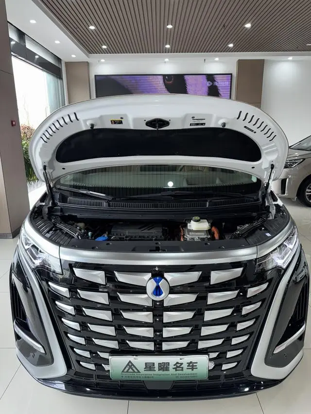 Denza Denza D9 DM 980 four-wheel drive flagship