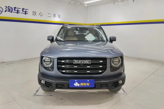 Haval Haval Big Dog 1.5T two-wheel drive horse dog-Wangcai Edition