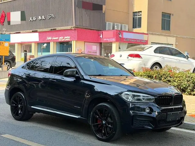 BMW BMW X6 xDrive35i M sports suit
