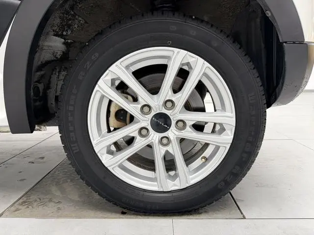 Dayun Yuehu 300 Standard Edition