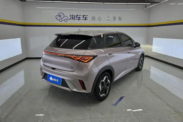 BYD dolphin Fashion edition
