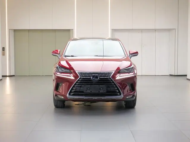 Lexus Lexus NX 300h full drive Fengzhi edition country VI