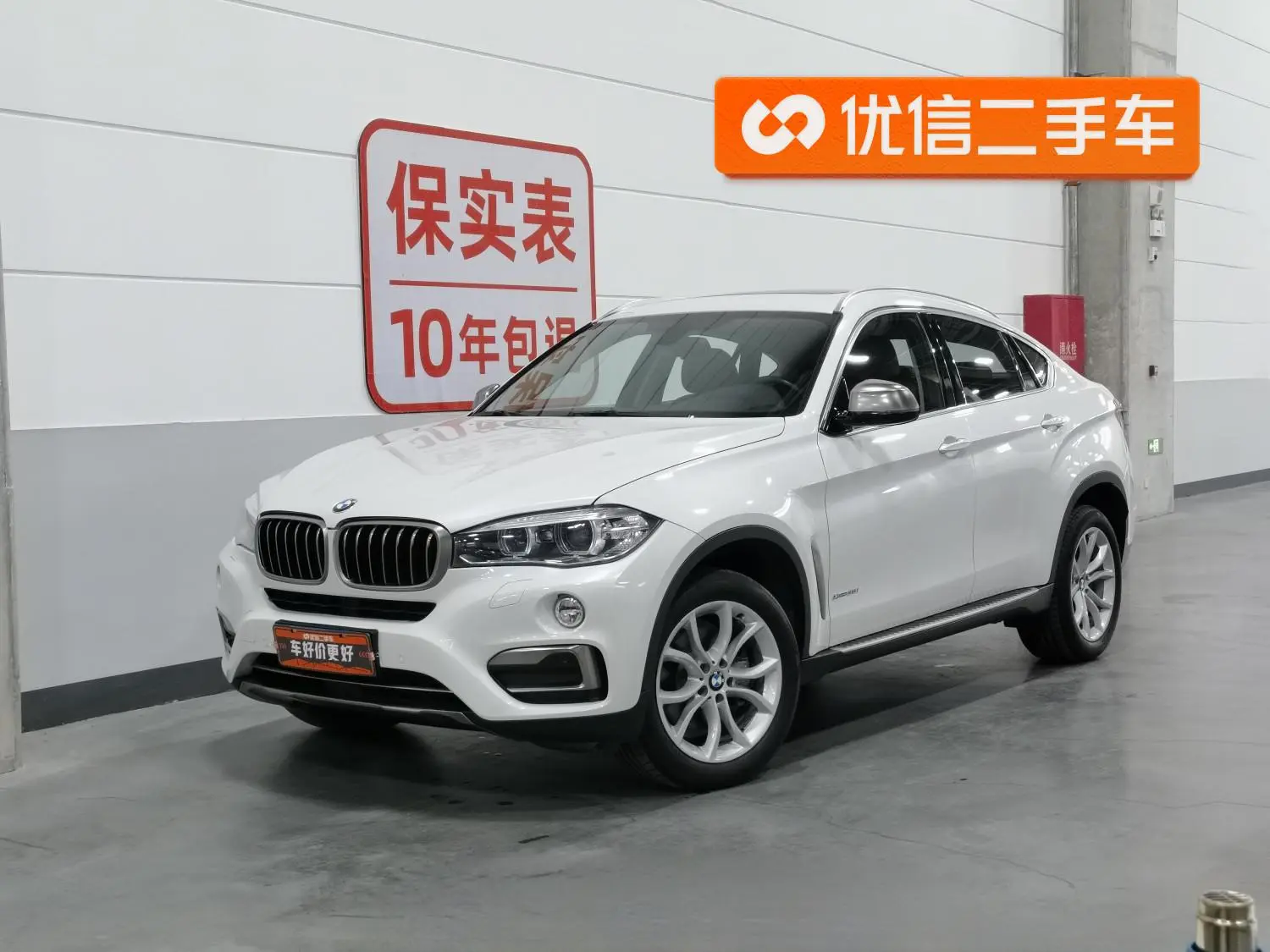 BMW BMW X6 xDrive35i leading type