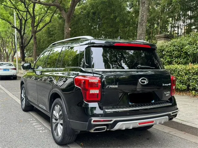 GAC Trumpchi GS8 320T two-wheel drive luxury Zhilian Edition 7 seats
