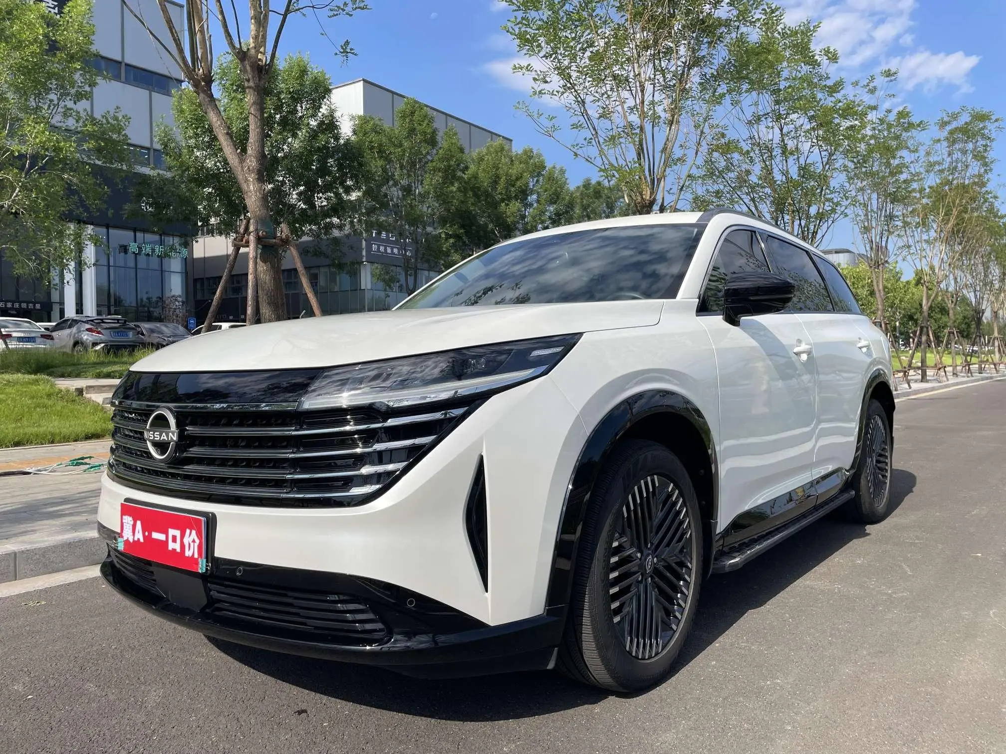 Nissan Exploring the land 380VC-TURBO four-wheel drive Zhizun Edition six-seater