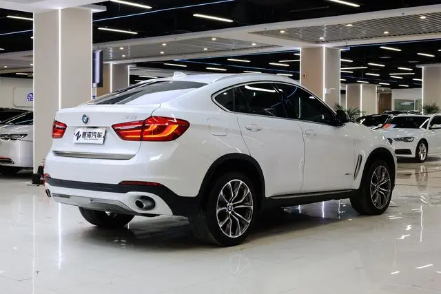 BMW BMW X6 xDrive35i Luxury