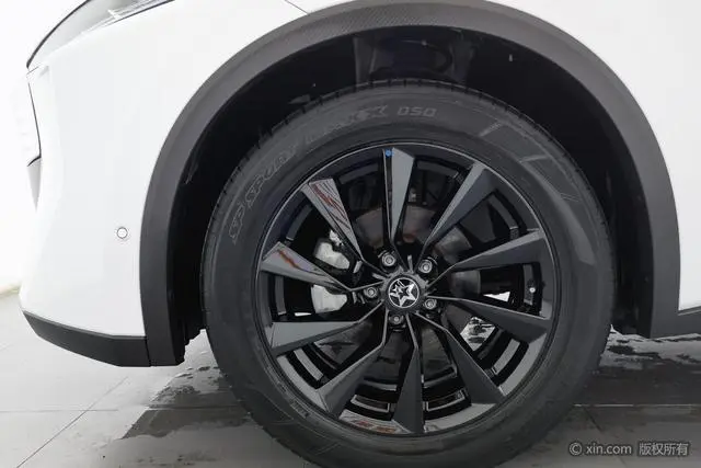 Venucia Qichen Big V 260T King Edition