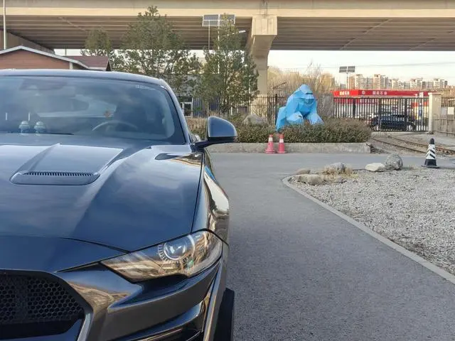 Ford Mustang 2.3T EcoBoost