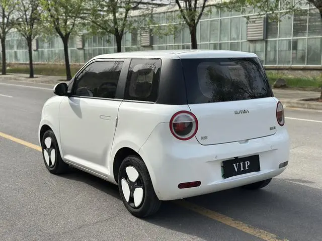 Changan Qiyuan Changan Lumin 301KM honey sweet