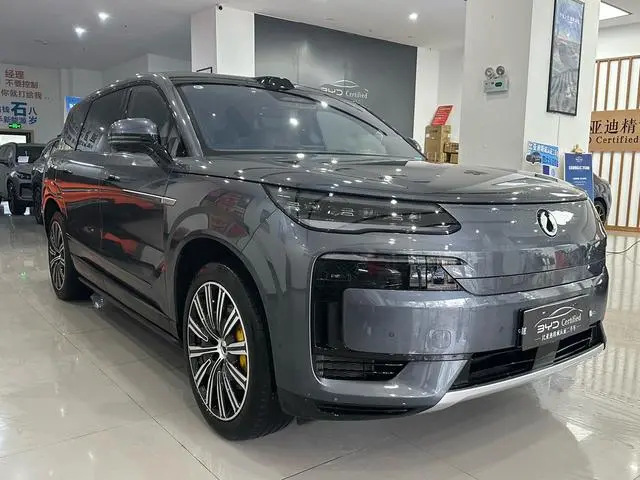 Denza Denza N9 DM Flagship type