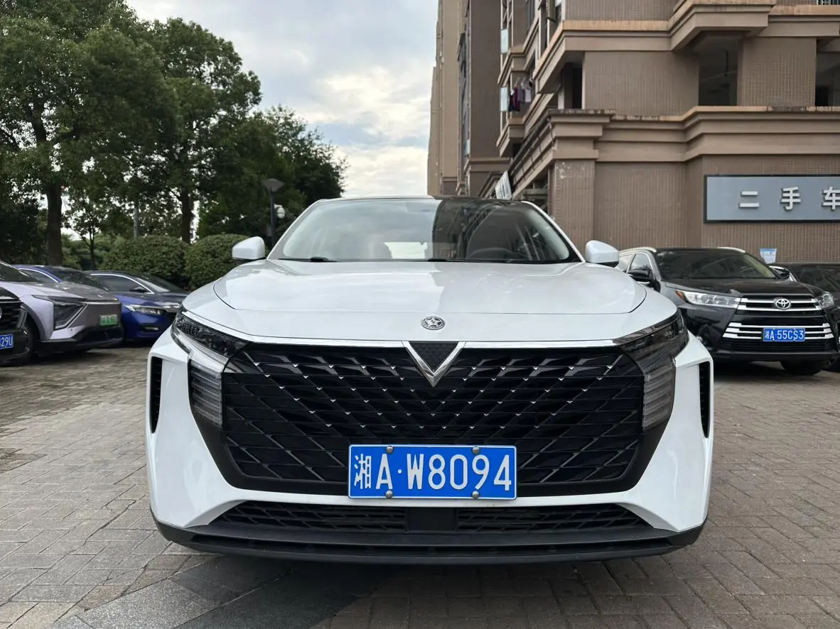 Venucia Qichen Big V 260T King Edition