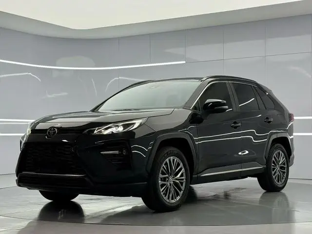 TOYOTA Wilanda 2.0L two-wheel drive luxury PLUS edition