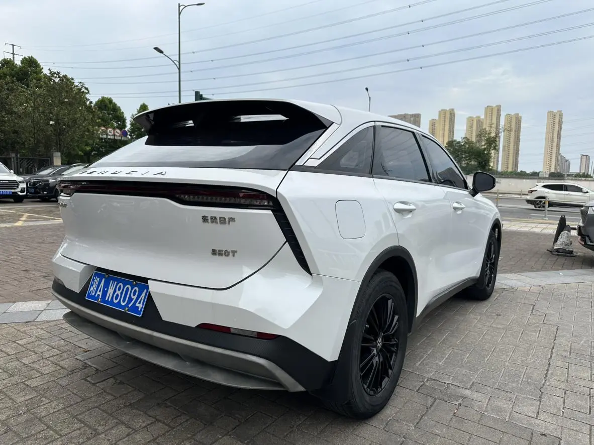 Venucia Qichen Big V 260T King Edition