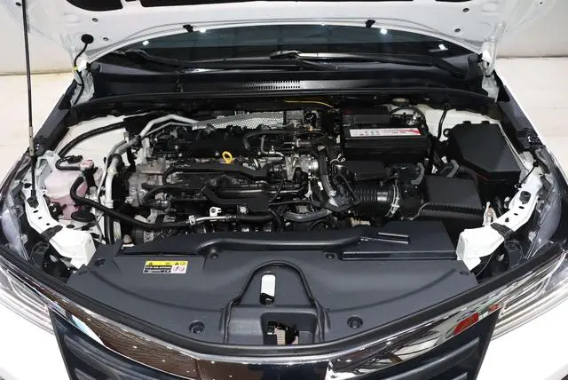 TOYOTA Asian lion 2.0L Deluxe Edition