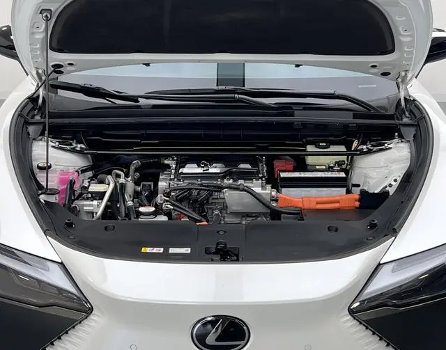 Lexus Lexus RZ 450e DIRECT4 Indulgent Edition