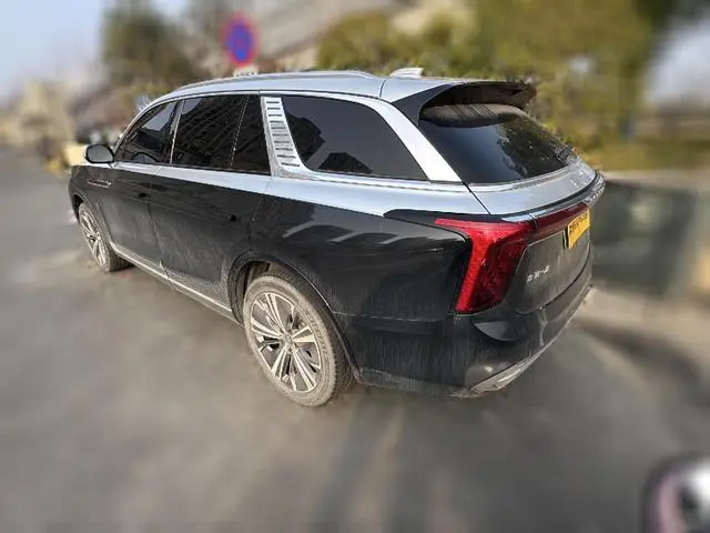 Hongqi Hongqi E-HS9 460km Flag Enjoy edition six seats