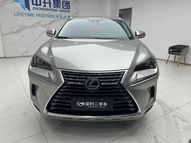 Lexus Lexus NX 300h front drive Fengshang version Country V