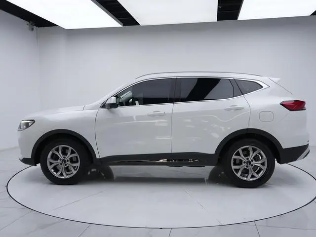 Haval Haval H6 National Tide Version 1.5T Automatic Champion Version