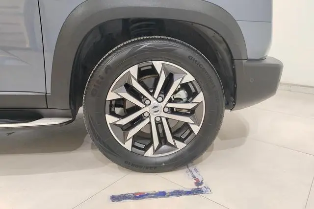 Haval Haval Big Dog 1.5T two-wheel drive horse dog-Wangcai Edition