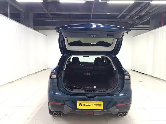 Dongfeng Fengxing Popular T5 EVO 1.5TD DCT Diamond Edition