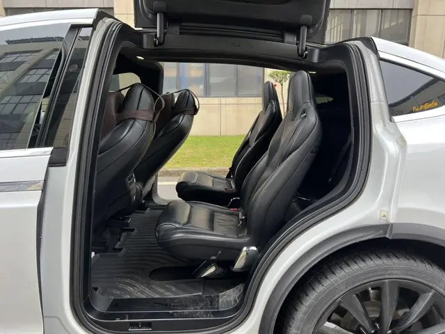 Tesla Model X 100D long battery life version