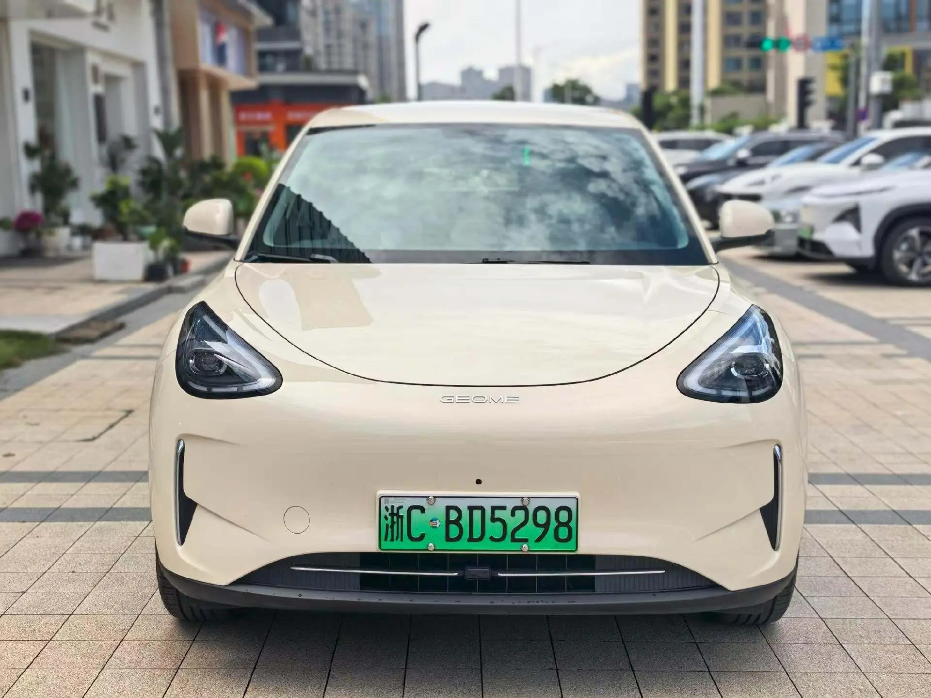 Geely Galaxy Star Wish 310km Dream Edition