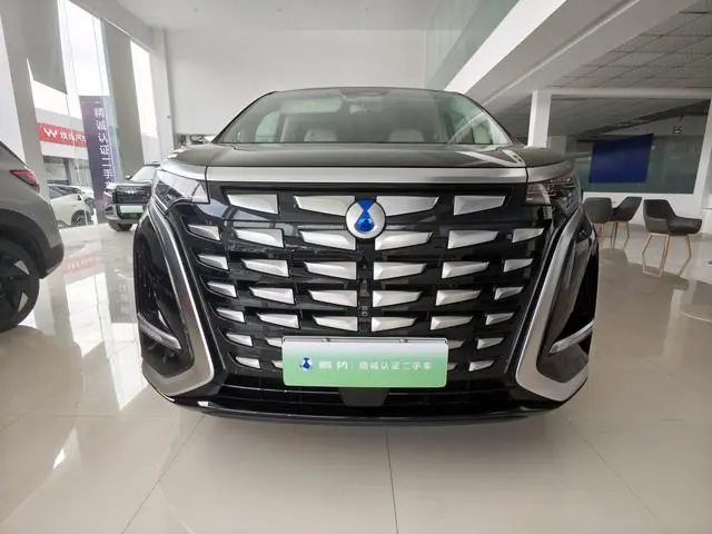 Denza Denza D9 DM 980 four-wheel drive flagship