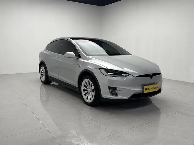 Tesla Model X 100D long battery life version