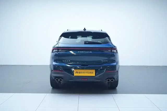 Dongfeng Fengxing Popular T5 EVO 1.5TD DCT Xingyao Edition