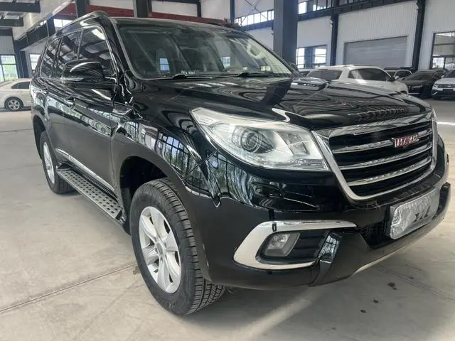 Haval Haval H9 2.0T four-wheel drive luxury 5-seater