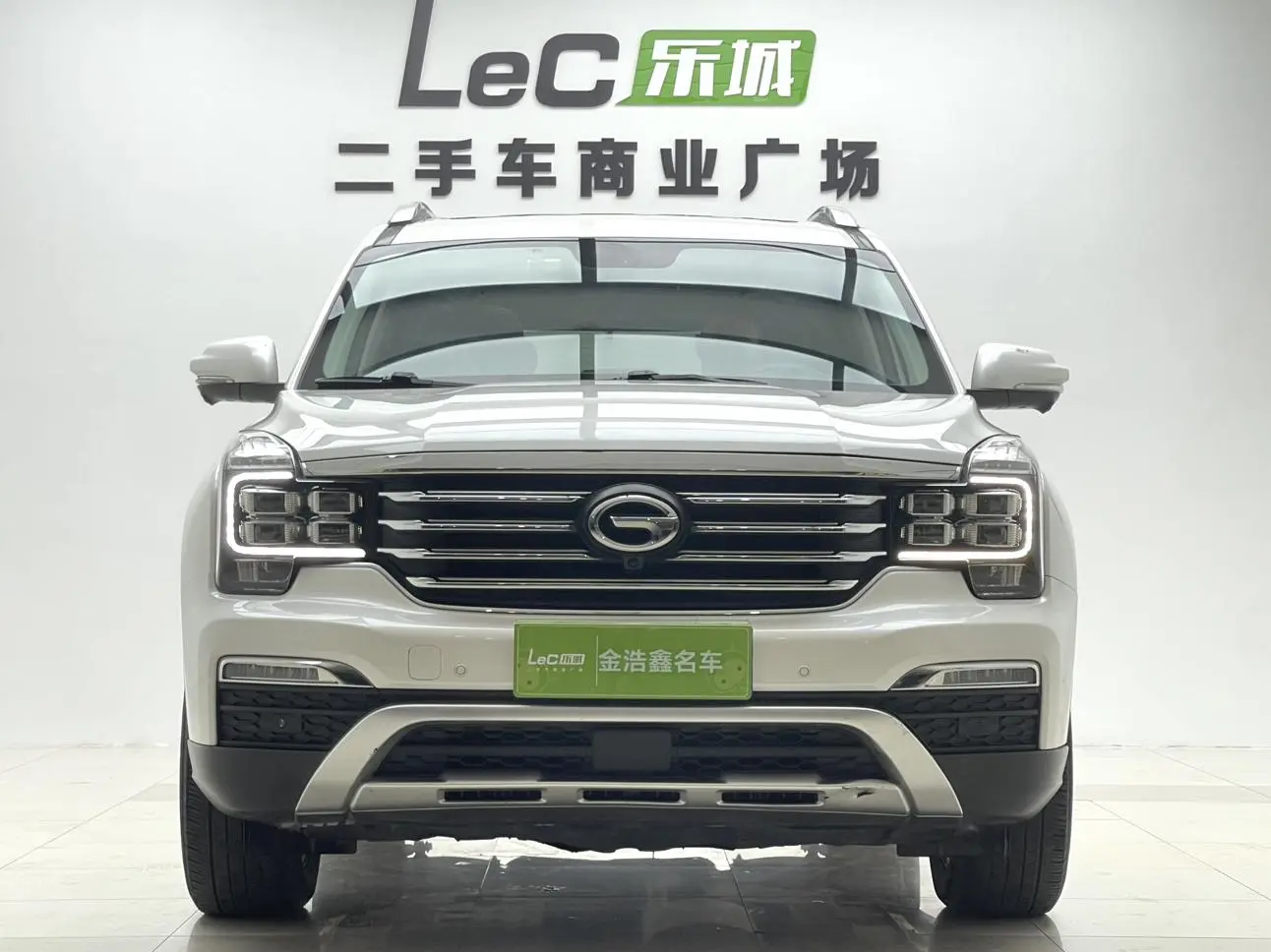 GAC Trumpchi GS8 320T two-wheel drive luxury Zhilian Edition 7 seats