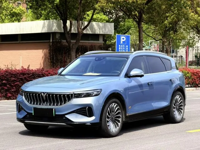 VOYAH Lan Tu FREE Four-wheel drive standard range extension exclusive luxury set