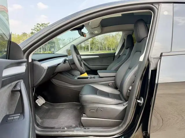 Tesla Model Y Rear-wheel drive version
