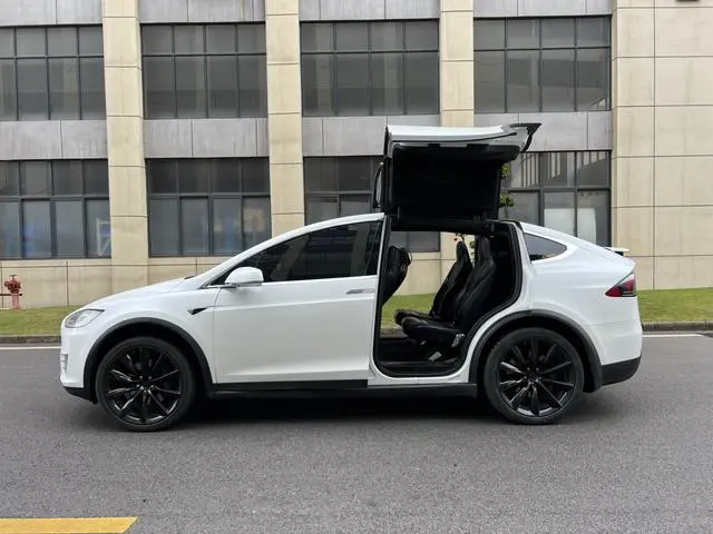 Tesla Model X 100D long battery life version