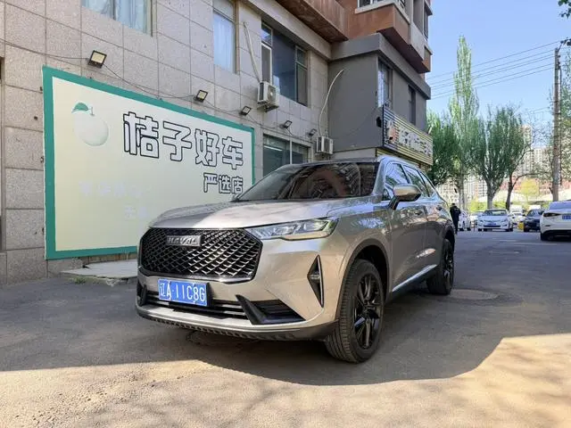 Haval Haval H6 The third generation 2.0T automatic four-wheel drive Max version