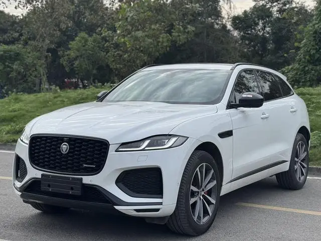 Jaguar Jaguar F-PACE P250 R-Dynamic SE