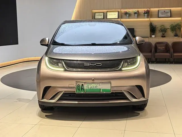 BYD dolphin Fashion edition