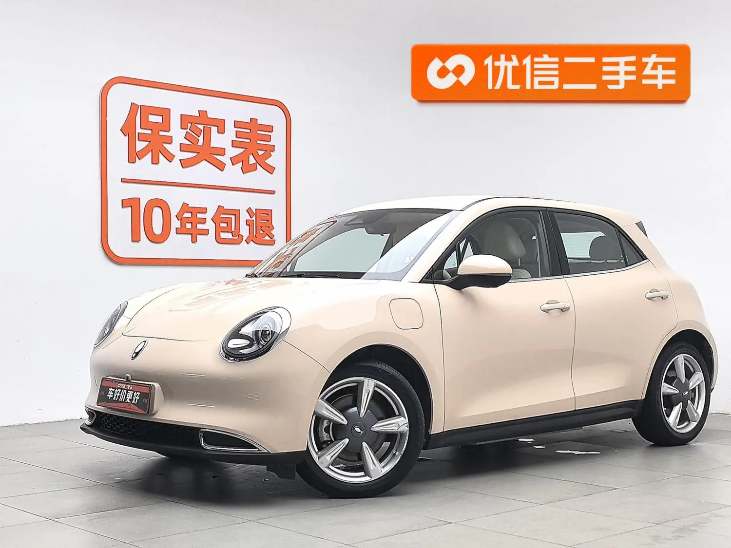 Ora Euler good cat 401km standard battery life luxury lithium iron phosphate