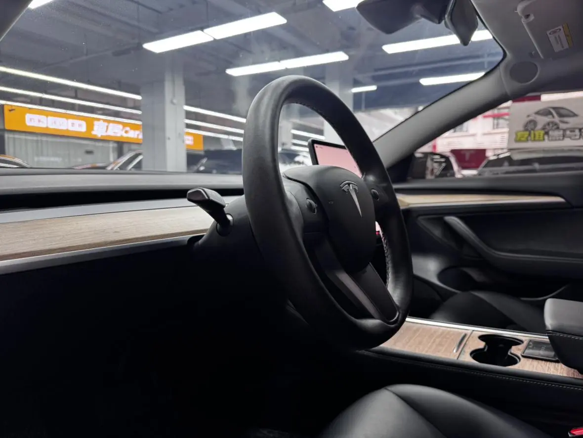 Tesla Model 3 Rear-wheel drive version