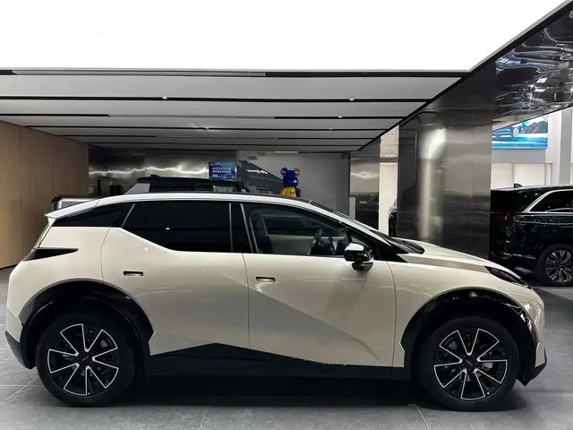 ZEEKR ZEEKR X Four-seater rear exorcism square version