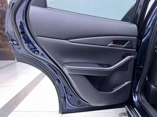 Mazda Mazda CX-30 2.0L automatic Jiayue Version