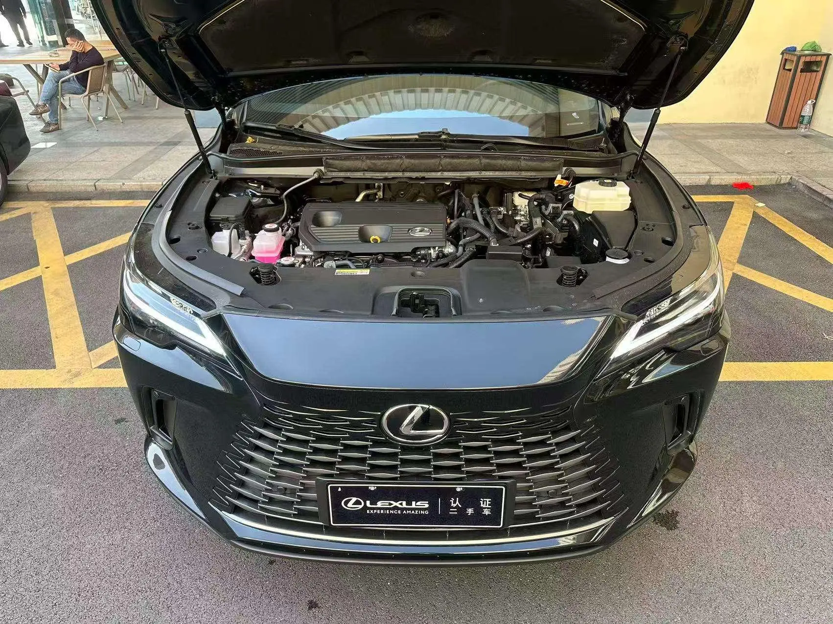 Lexus Lexus RX 350h two-wheel drive comfort edition