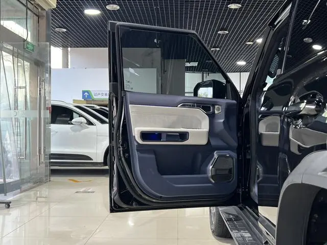 Jetour Jietu Shanhai T2 1.5TD DHT 208km two-wheel drive mountain version