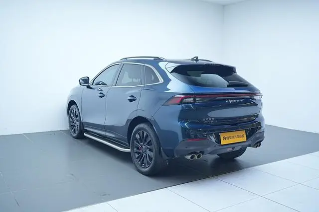 Dongfeng Fengxing Popular T5 EVO 1.5TD DCT Xingyao Edition