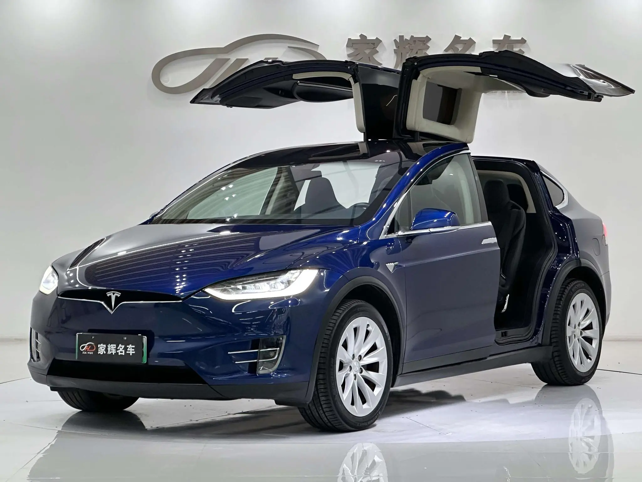 Tesla Model X 100D long battery life version