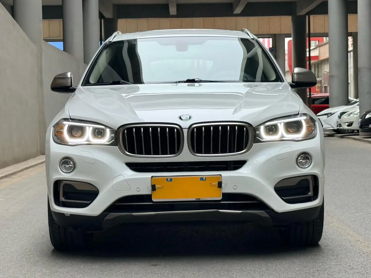 BMW BMW X6 xDrive35i leading type