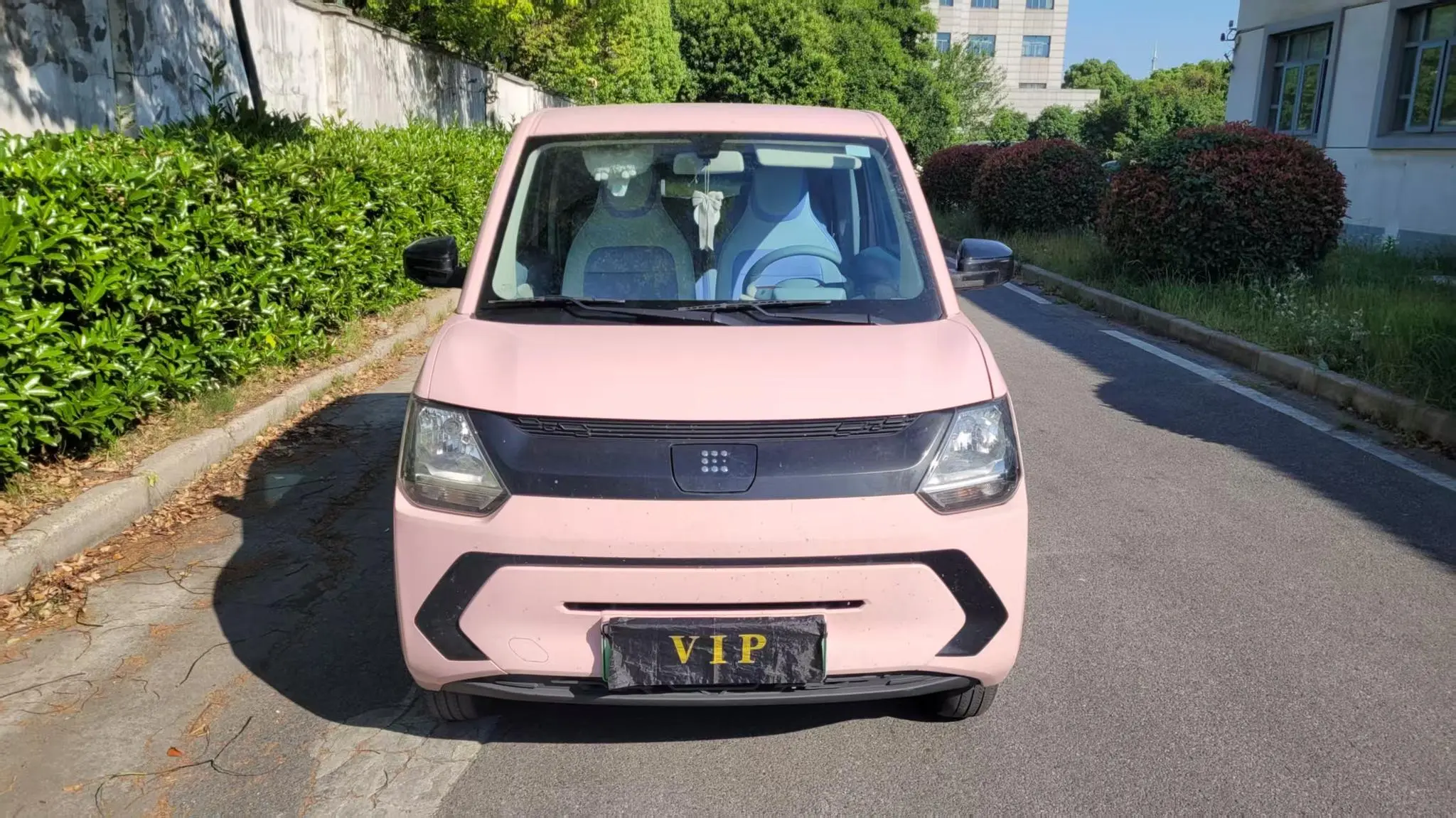 Dongfeng Fengguang Scenery MINIEV Real luxury